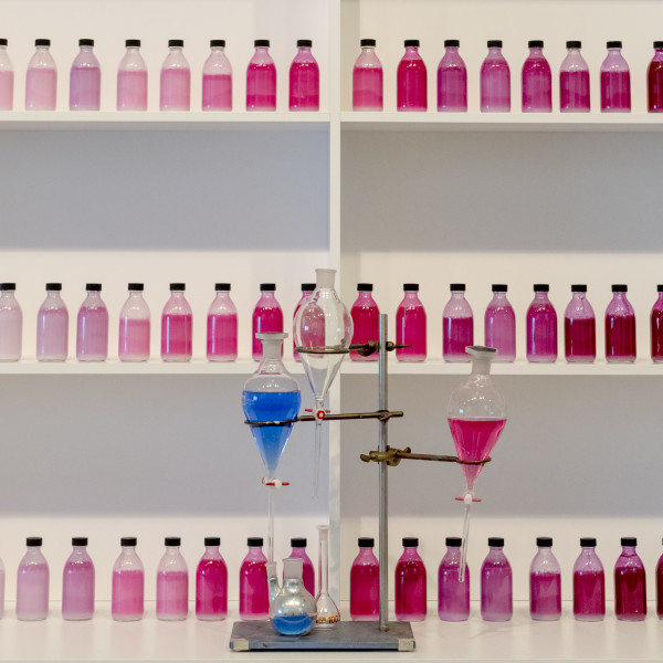 The Color Lab (2)