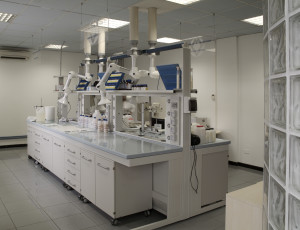 labjpg