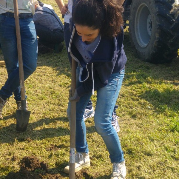 FOTO - #unalberoè (1)