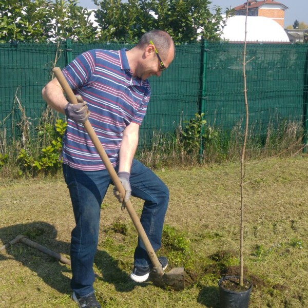 FOTO - #unalberoè (3)