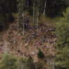 Foresta degli innovatori 2026