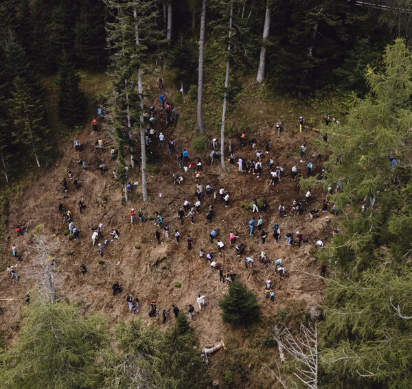 Foresta degli innovatori 2026