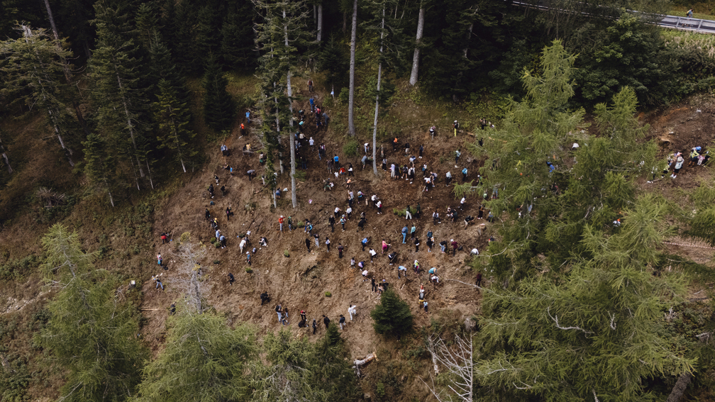 Foresta degli innovatori 2026